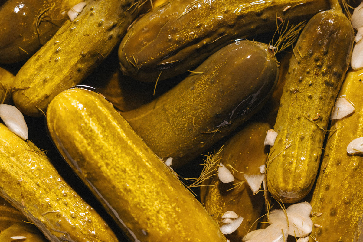 Dill pickles in brine