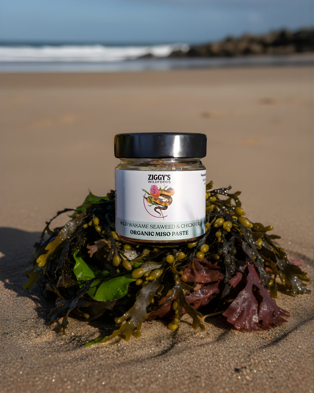 Organic Wild Wakame Seaweed & Chickpea Miso 200g