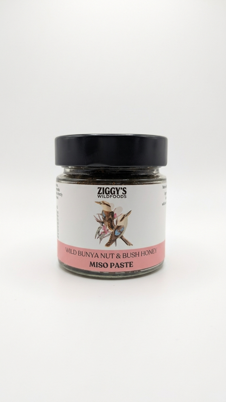 Wild Bunya Nut & Bush Honey Miso Paste — Ziggy's Wildfoods